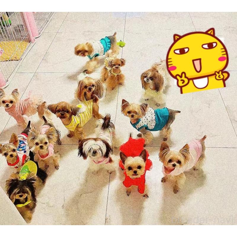 梁成峰ブリーダーの詳細