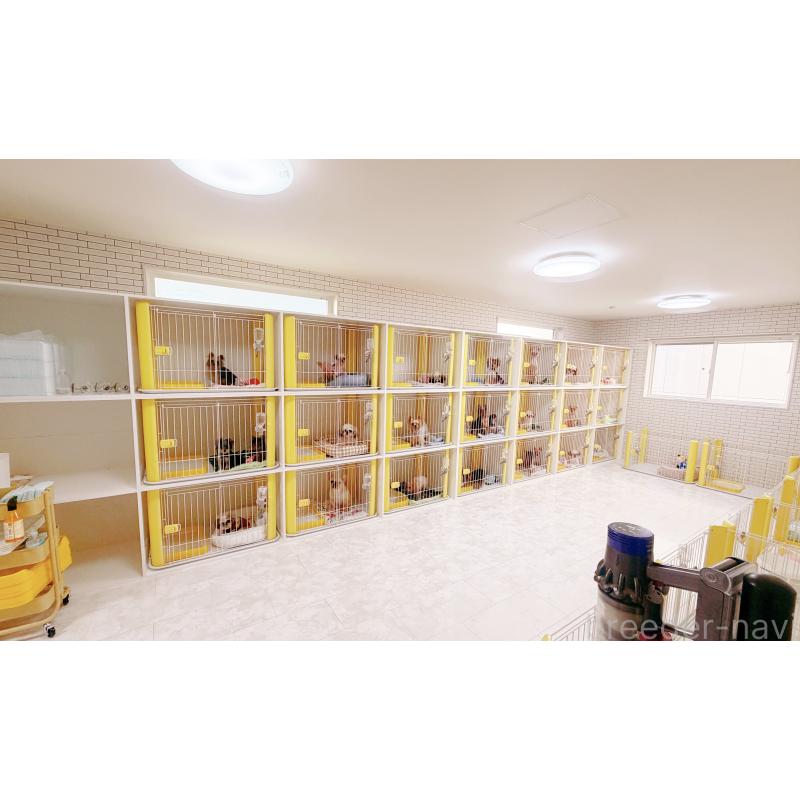 梁成峰ブリーダーの詳細