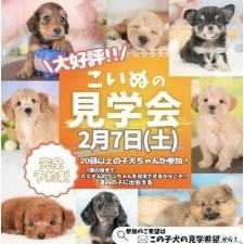 斎藤杏菜ブリーダー