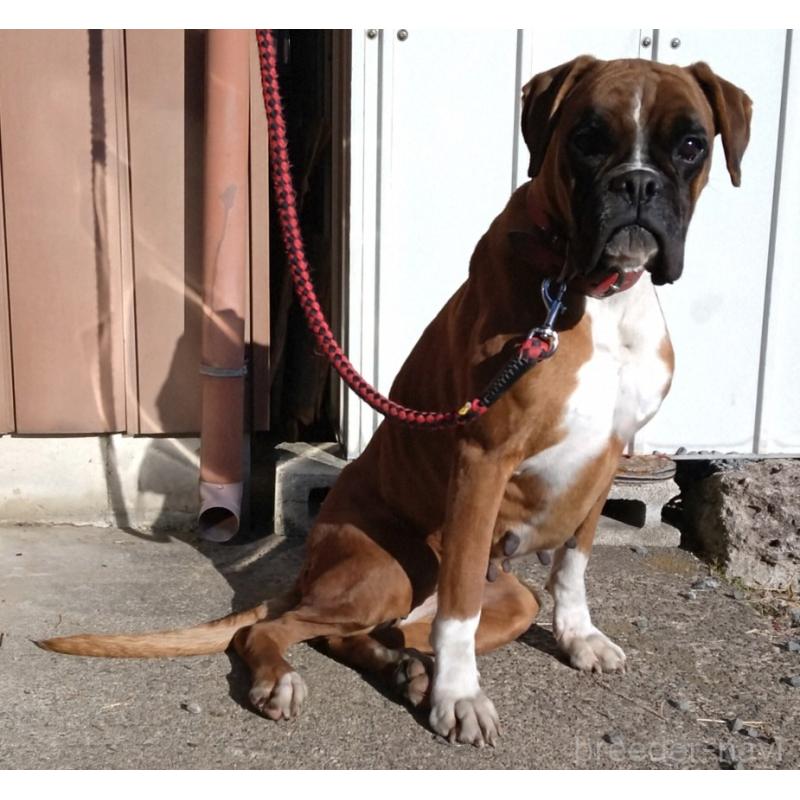 福田貴哉ブリーダーの詳細