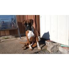 福田貴哉ブリーダー