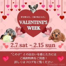 鈴木理菜ブリーダー