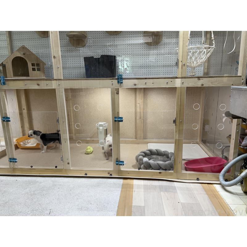 犬舎紹介の大阪府の犬舎紹介-5400の2枚目