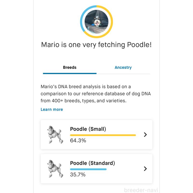 マリオくん4枚目