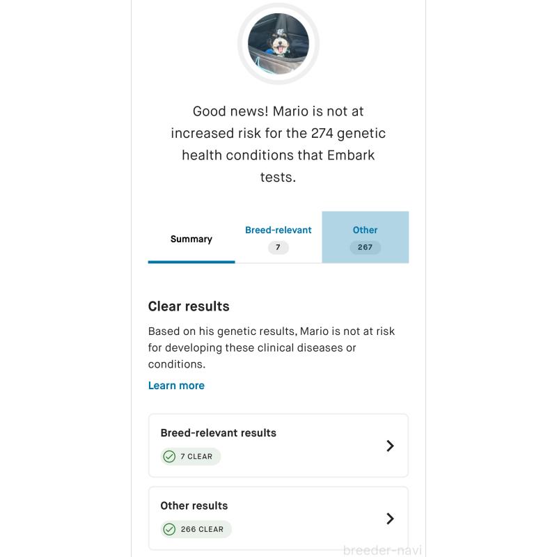 マリオくん5枚目