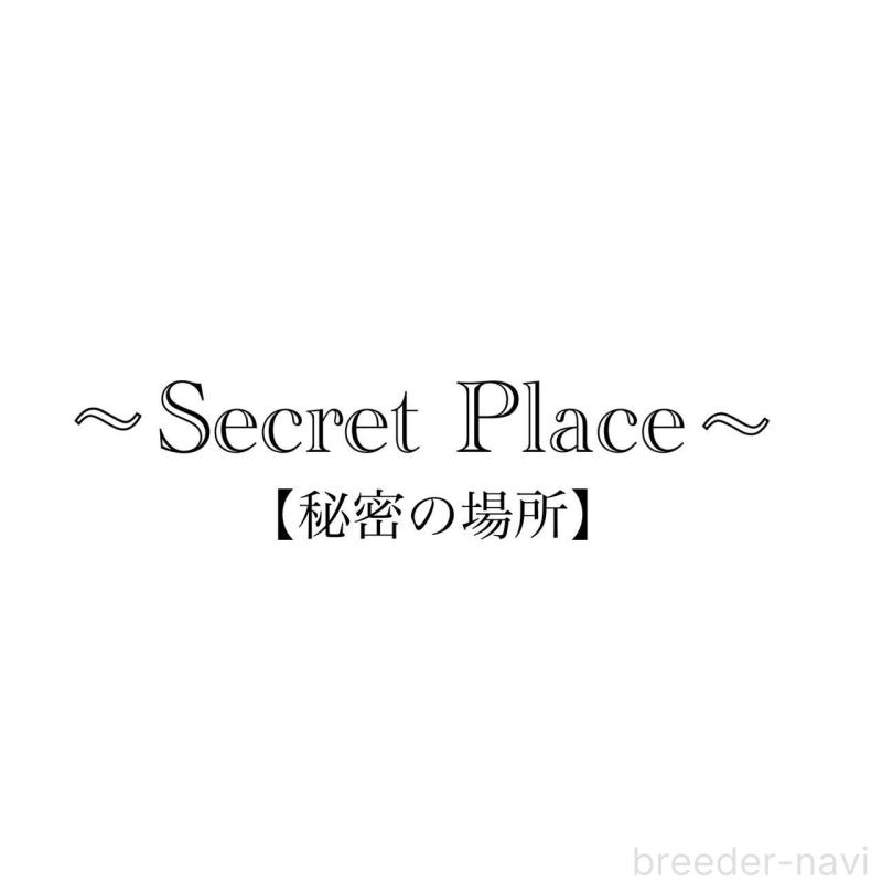 日高有麻ブリーダーの詳細の1枚目
