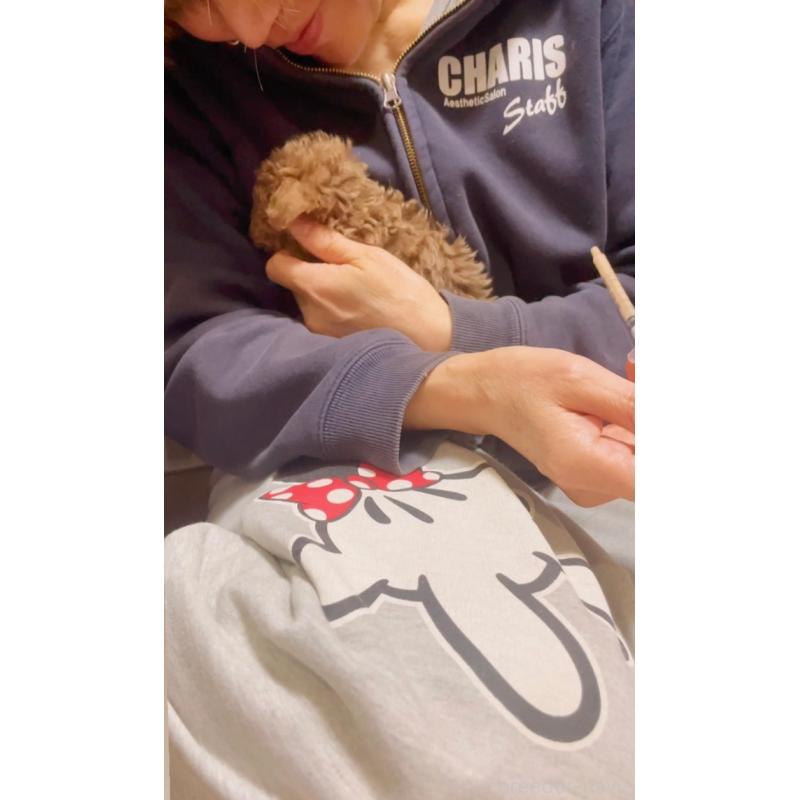 販売中の千葉県のティーカッププードル-441829の2枚目