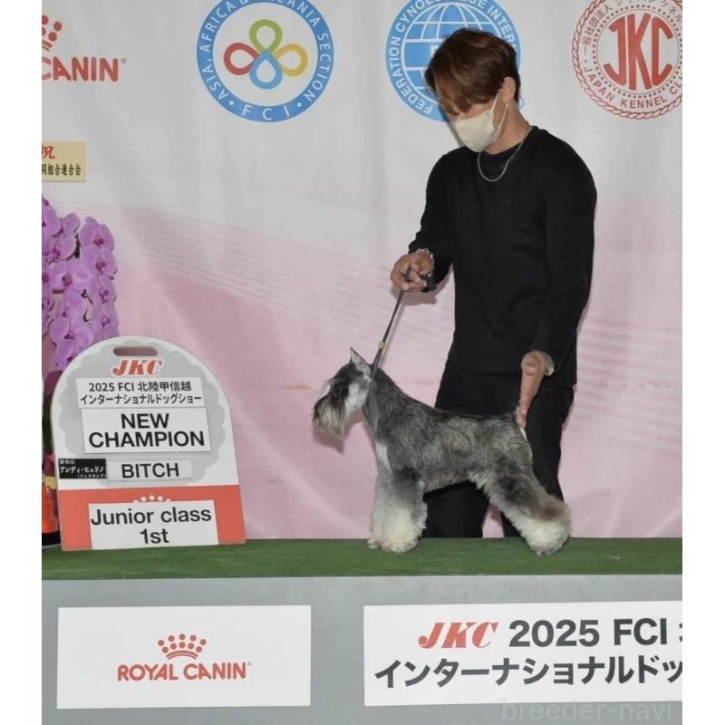 犬舎紹介の三重県の犬舎紹介-2561の4枚目