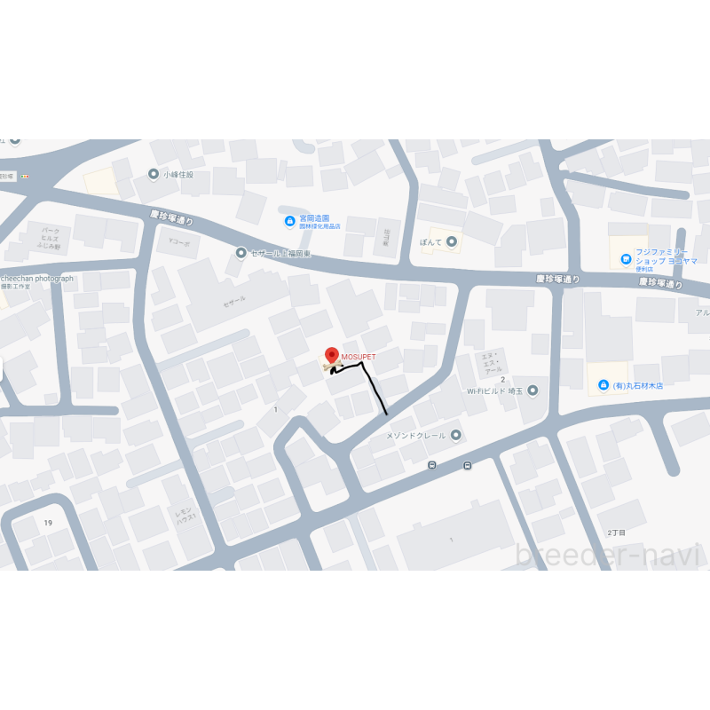 犬舎紹介の埼玉県の犬舎紹介-5332の3枚目