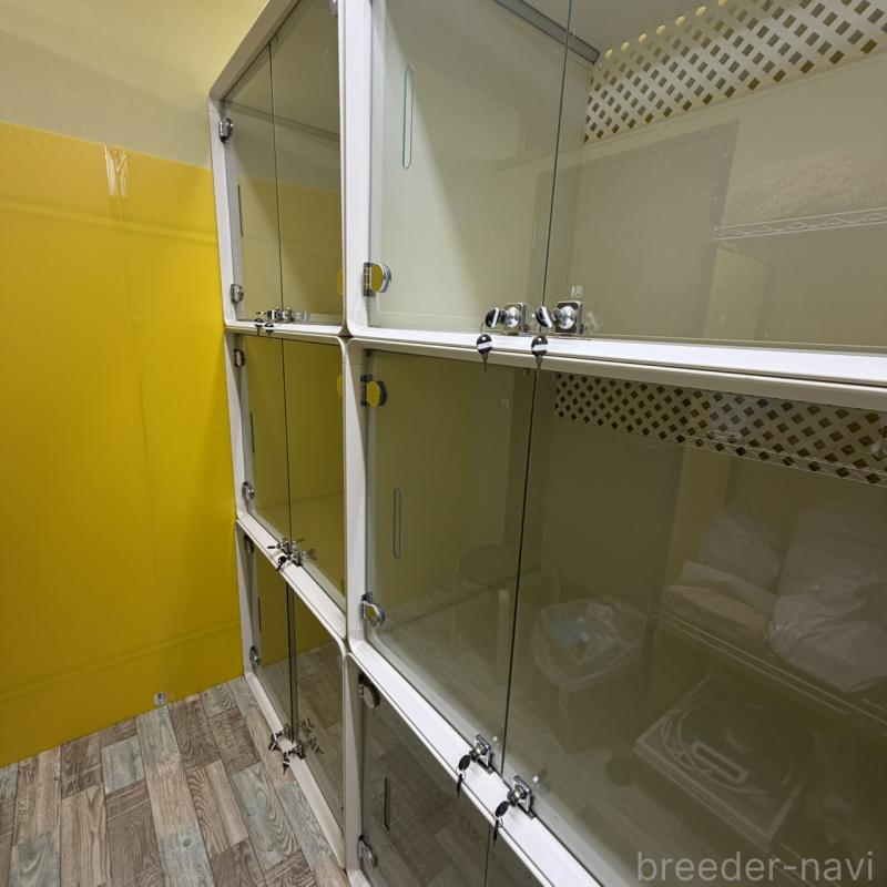 桑野智昭ブリーダーの詳細