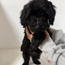 オンライン見学