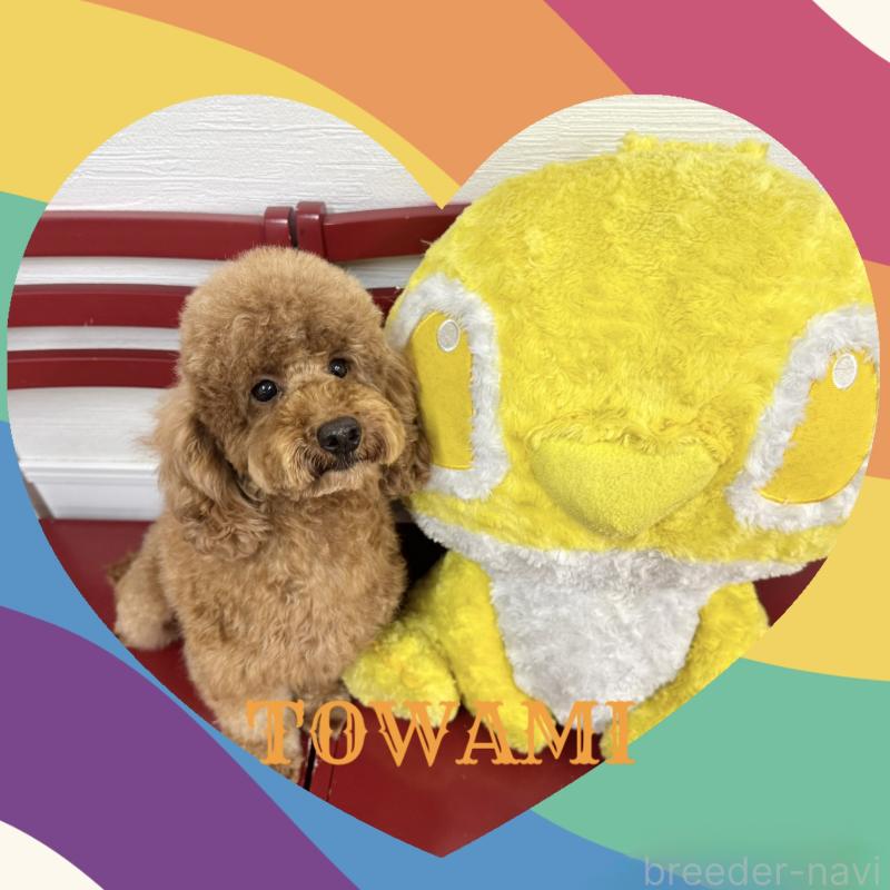 永遠美ちゃん1枚目