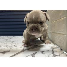 オンライン見学