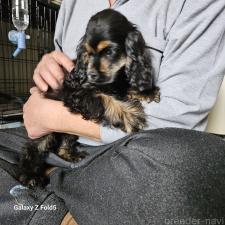 オンライン見学