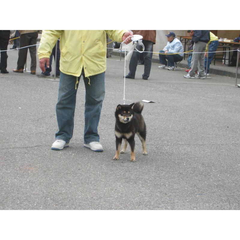 海野光裕ブリーダーの詳細の1枚目