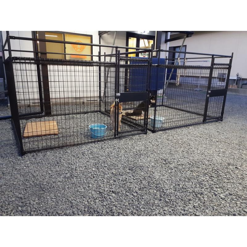 海野光裕ブリーダーの詳細