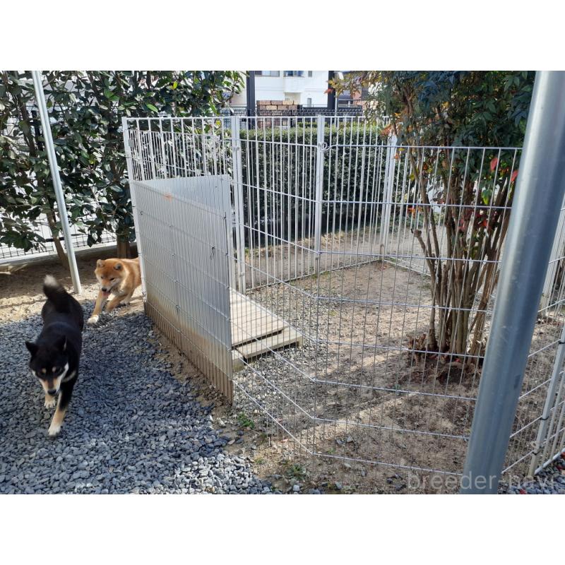 海野光裕ブリーダーの詳細