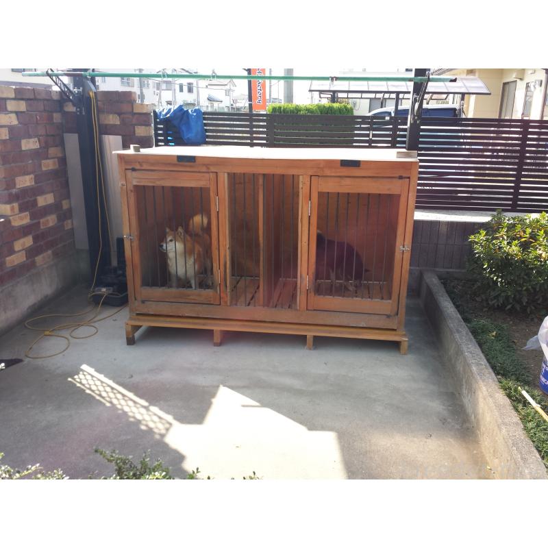 海野光裕ブリーダーの詳細