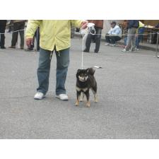 海野光裕ブリーダー