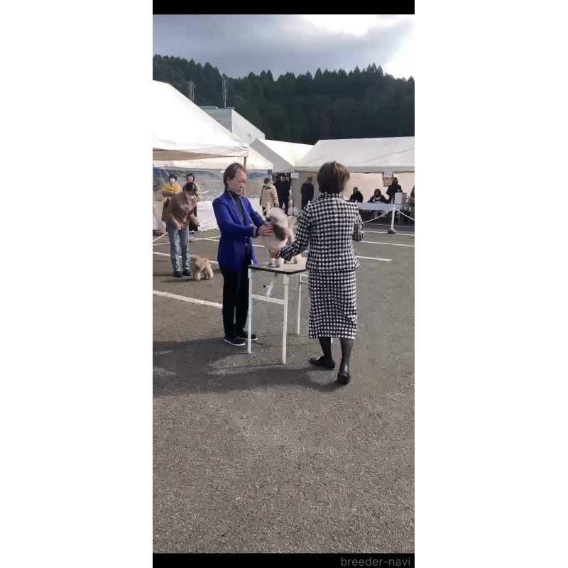 市橋定子ブリーダーの詳細の1枚目