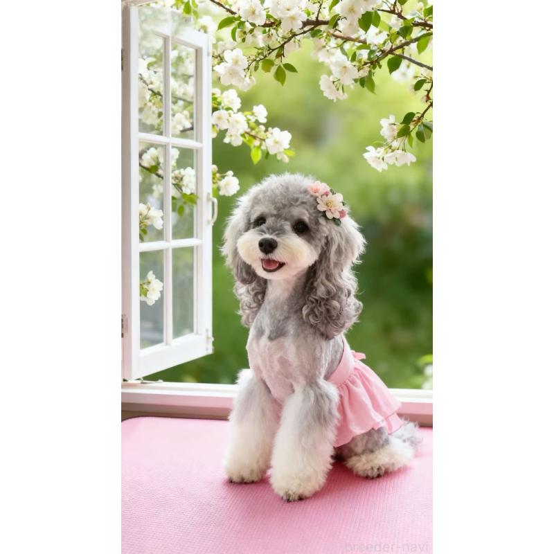 モンスターオアシスブリーダーの詳細の1枚目