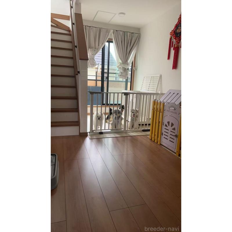 モンスターオアシスブリーダーの詳細