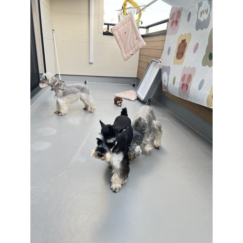 モンスターオアシスブリーダーの詳細