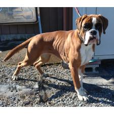 福田貴哉ブリーダー