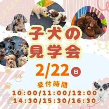 鈴木理菜ブリーダー