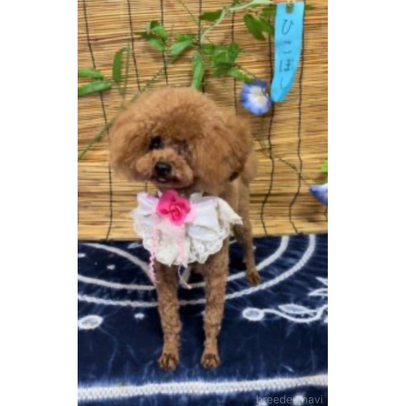 ミーナちゃん6枚目