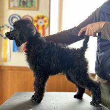 オンライン見学