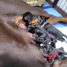 オンライン見学