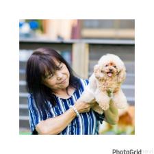 井上加奈子ブリーダー