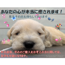 岡田英二ブリーダー