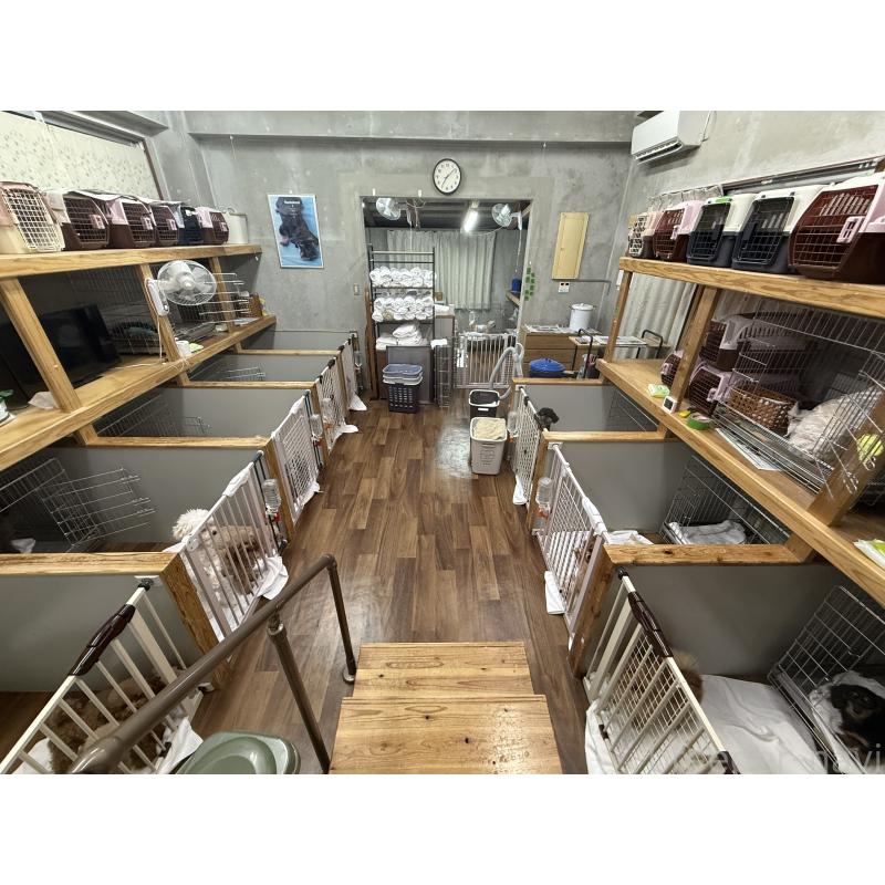 上地護子ブリーダーの詳細