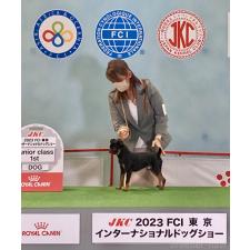 湯本明美ブリーダー