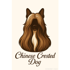 髙橋妃加里ブリーダー