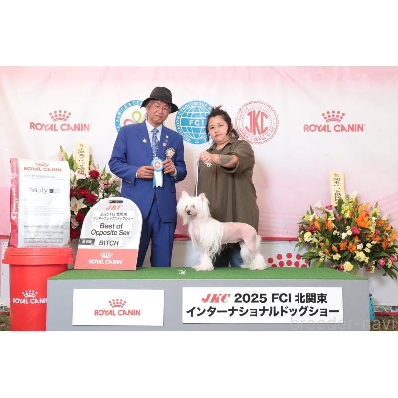 髙橋妃加里ブリーダーの詳細