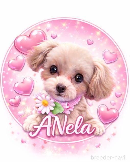 中野ブリーダー