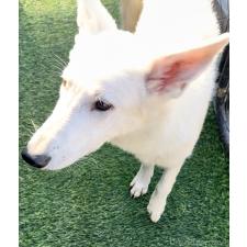 オンライン見学