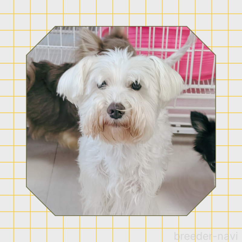 オハナちゃん2枚目