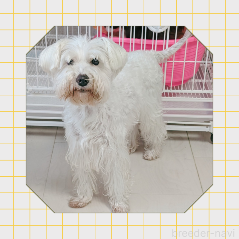 オハナちゃん3枚目