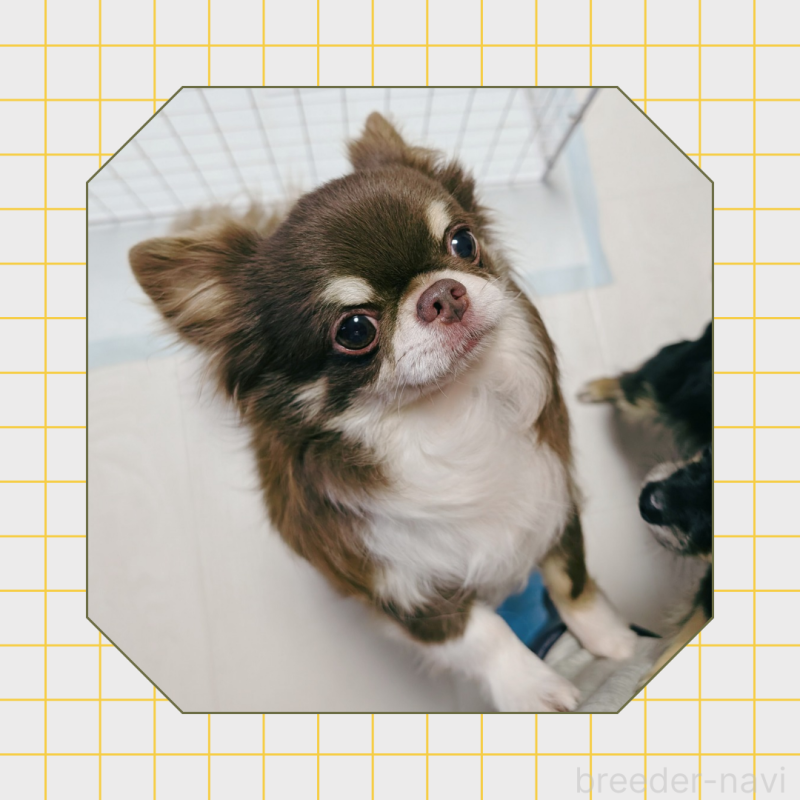 福太郎くん2枚目