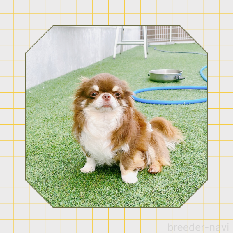 福太郎くん3枚目