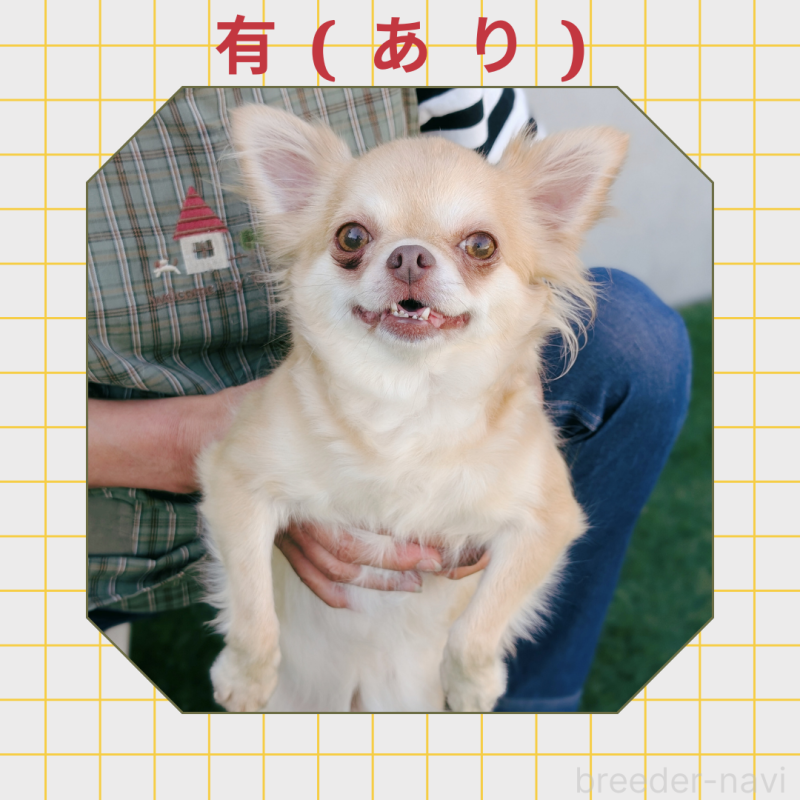 有(あり)ちゃん3枚目