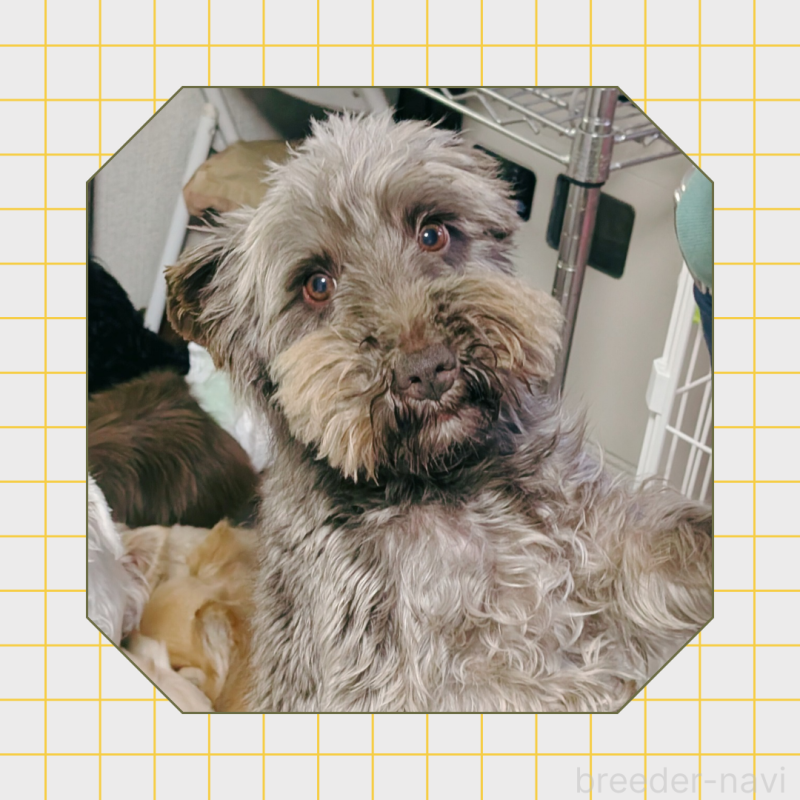 サン2019くん2枚目