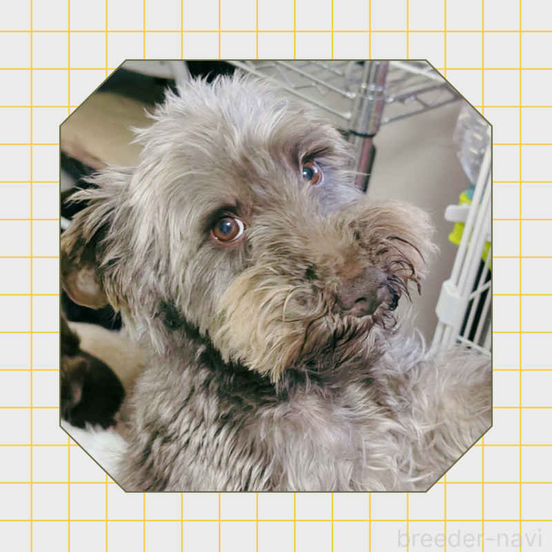 サン2019くん3枚目