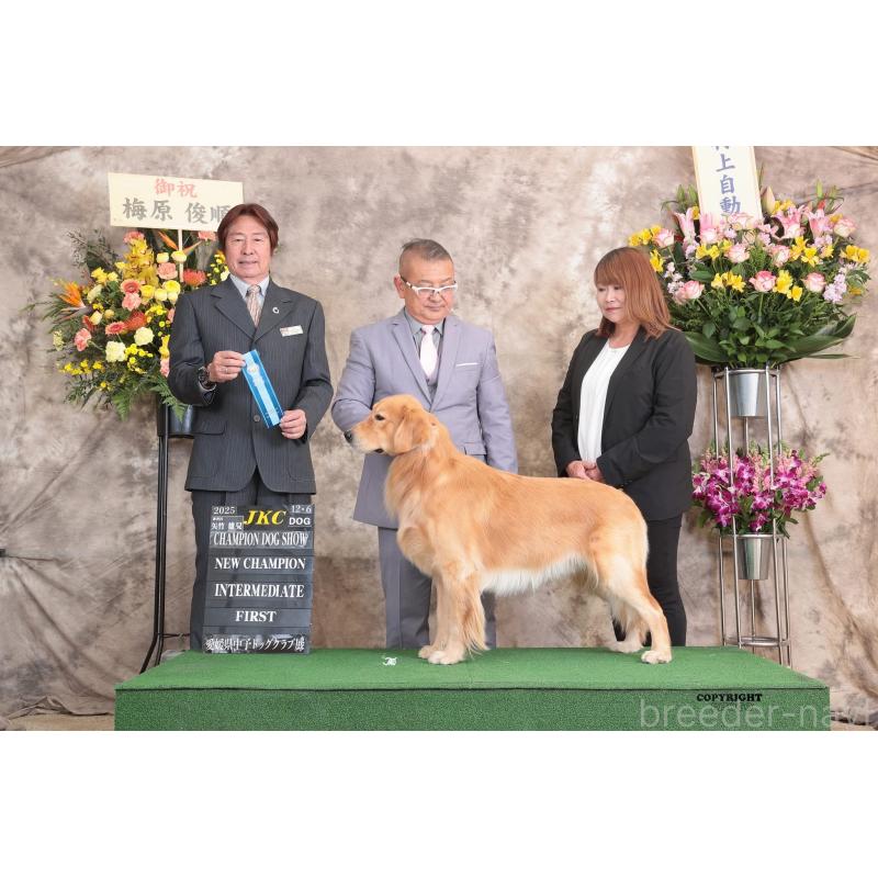 ゆうきくん1枚目