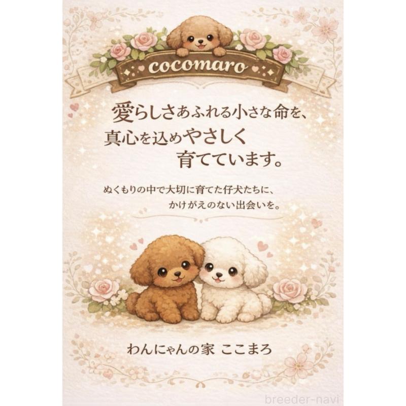 伊藤浩康ブリーダーの詳細の1枚目