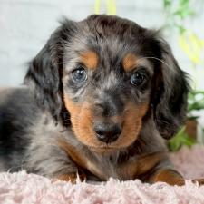 オンライン見学